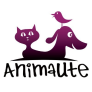 Profitez d’un Code Promo Animaute Exclusif